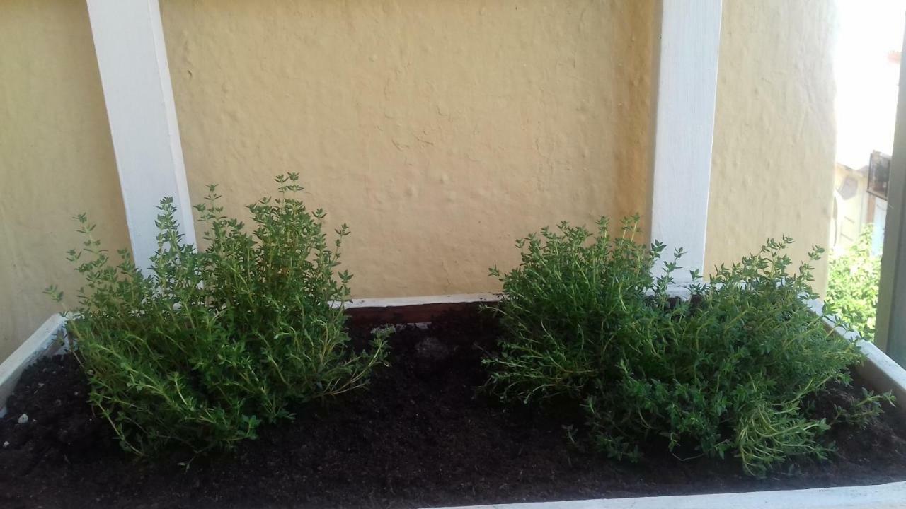 Piso En Cordoba Emili'S House Apartment ภายนอก รูปภาพ